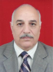 Feyziyev, Fikrat Gulali